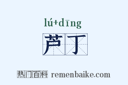 芦丁是什么意思的图片